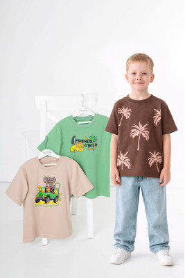 Комплект для хлопчиків з 3-х футболок